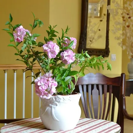 Al-bereka La Alberca (Salamanca)