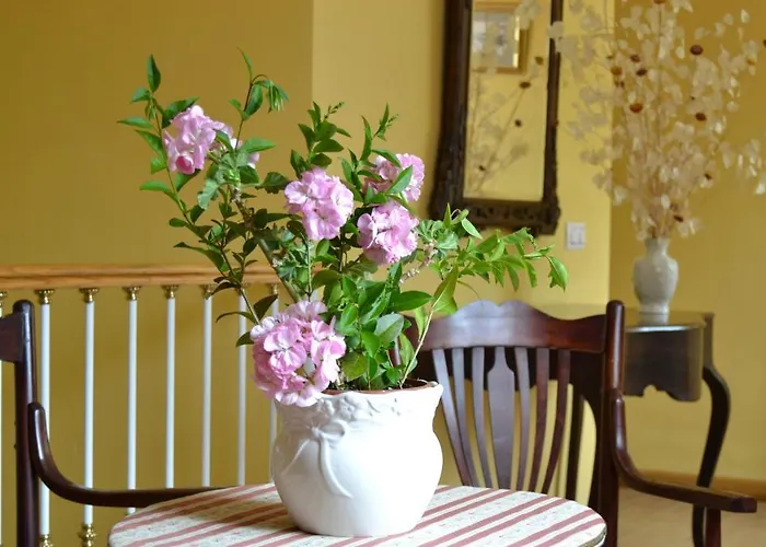 Al-bereka La Alberca (Salamanca)